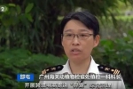 另類寵物風(fēng)潮“興起”？廣州海關(guān)嚴(yán)打“異寵”非法入境，截獲非法入境“異寵”400多頭