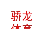 烏魯木齊驕龍?bào)w育俱樂(lè)部（有限責(zé)任公司）