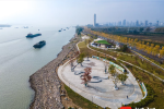 南京江北新區(qū)揚子江生態(tài)公園“梧桐語”小型城市客廳建成了，快來打卡！
