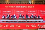 哈爾濱新區(qū)產(chǎn)業(yè)招商聯(lián)盟項(xiàng)目簽約大會(huì)舉行 簽約額88.45億元