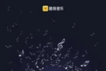 酷我音樂進(jìn)行音質(zhì)音效升級，讓聆聽成為一種享受