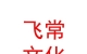 山西飛常文化傳媒有限公司
