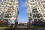 青島西海岸新區(qū)：“白果樹(shù)”的幸福蝶變