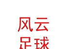 西藏風云足球俱樂部有限公司