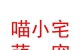 民和縣喵小宅萌寵生活館