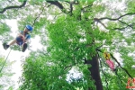 “換個(gè)角度看世界”親子攀高體驗(yàn)活動(dòng)在長(zhǎng)沙舉行