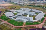 甘肅靖遠：打好“四張牌” 構建現(xiàn)代產(chǎn)業(yè)體系