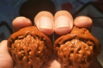 未來十年，收藏文玩好還是購買黃金好？