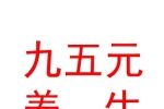 西藏九五元養(yǎng)養(yǎng)生保健服務(wù)有限公司