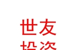 太原市世友投資有限公司