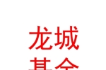 太原龍城私募基金管理有限公司