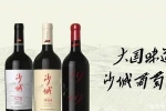 再談文化美學(xué)視野下，中國葡萄酒的本土表達(dá)
