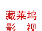 西藏藏萊塢影視有限責(zé)任公司