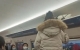 湖南：女子穿羽絨服配短褲坐高鐵回家，網(wǎng)友：上面很熱...