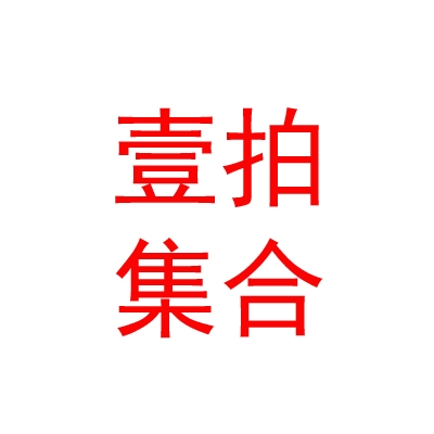西藏壹拍集合拍賣有限公司