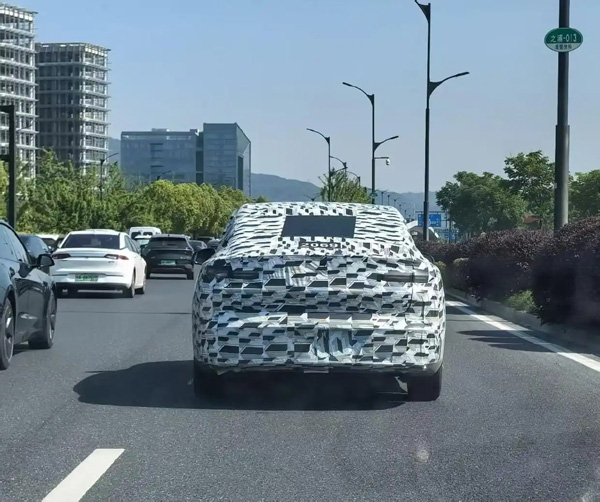 捂得嚴(yán)嚴(yán)實(shí)實(shí)，街頭這“蒙面車”究竟是什么車